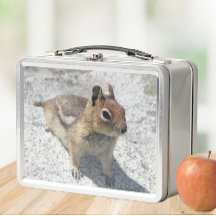 Foto på Cute Ground Squirrel Natature