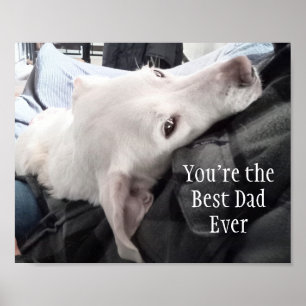 Foto på Cute Hund Best Pappa någonsin Poster