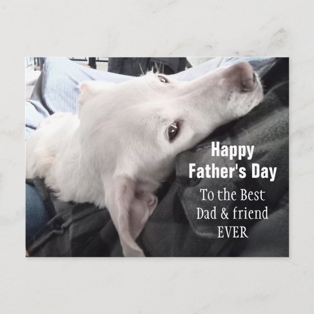 Foto på Cute Hund Best Pappa och Friend nånsin Vykort (Framsida)