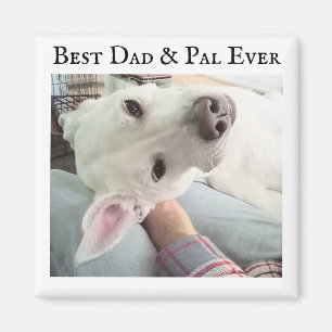 Foto på Cute Hund Best Pappa Pal Aldrig Blue Denim Magnet