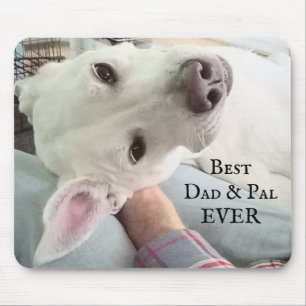 Foto på Cute Hund Best Pappa Pal Aldrig Blue Denim Musmatta