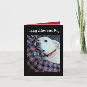 Foto på Cute Hund Hugger Pappa Valentindagen Helgkort