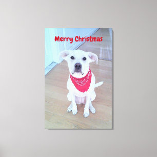 Foto på Cute Hund med Öron Red-julen Canvastryck