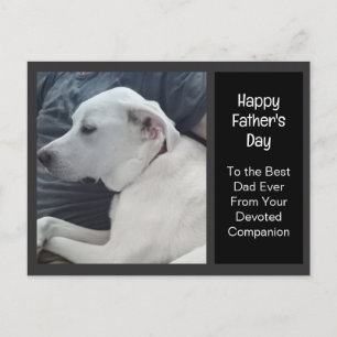 Foto på Cute Hund med Pappa Assion Fars dag Helg Vykort