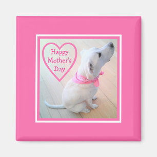 Foto på Cute Hund med Rosa Scarf Mors dag Magnet