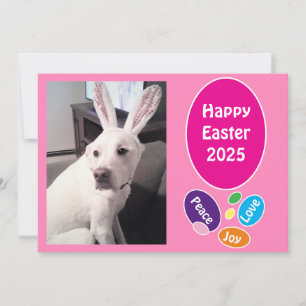Foto på Cute Hund Wearing Bunny Öron Påskäggs Julkort