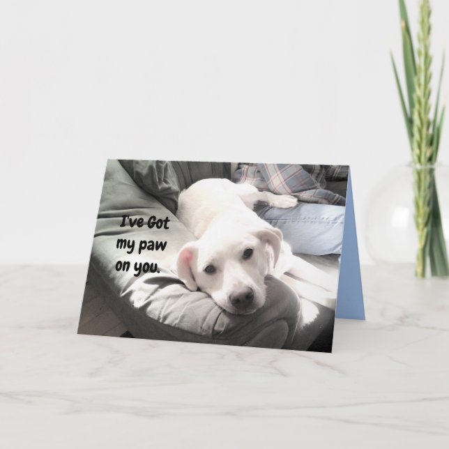 Foto på Cute Lazy White Hund Hanging out med Pappa Kort (Framsida)