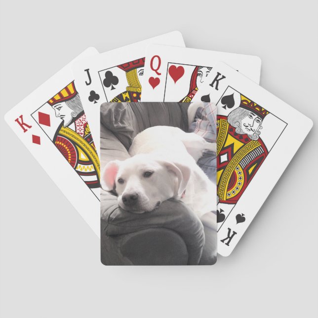 Foto på Cute Lazy White Hund Hanging Out on Couch Casinokort (Baksidan)