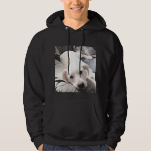 Foto på Cute Lazy White Hund som svänger ut med Pa Hoodie