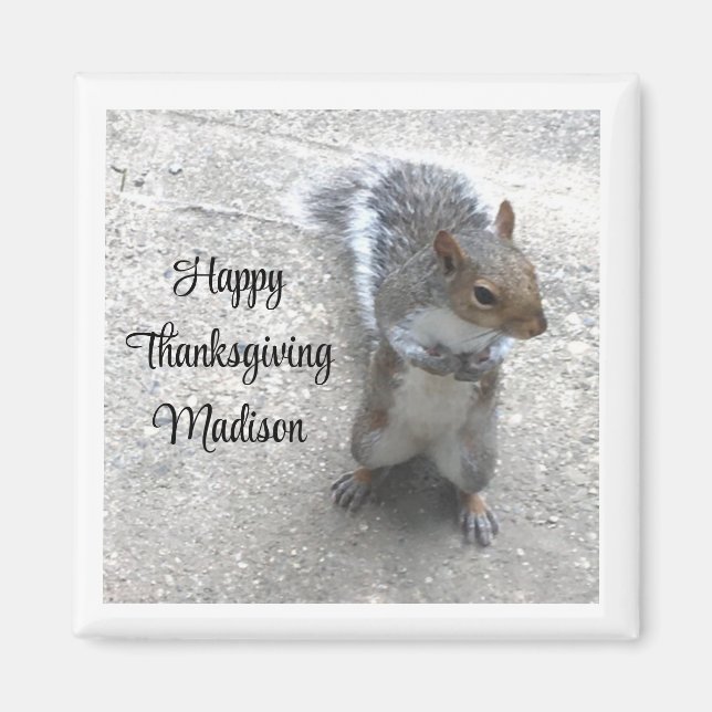 Foto på Cute Little Squirrel med Fluffy Svan Magnet (Framsidan)