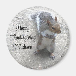 Foto på Cute Little Squirrel med Fluffy Svan Magnet
