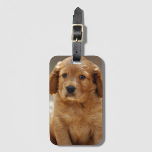 Foto på Cute Puppy Porträtt Bagagebricka