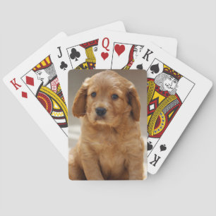 Foto på Cute Puppy Porträtt Casinokort