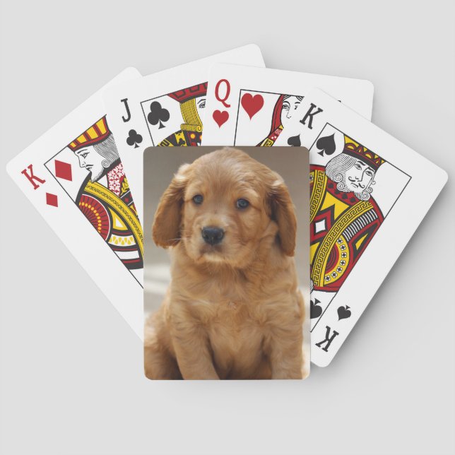 Foto på Cute Puppy Porträtt Casinokort (Baksidan)