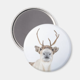 Foto på Cute Reindeer Nature Magnet