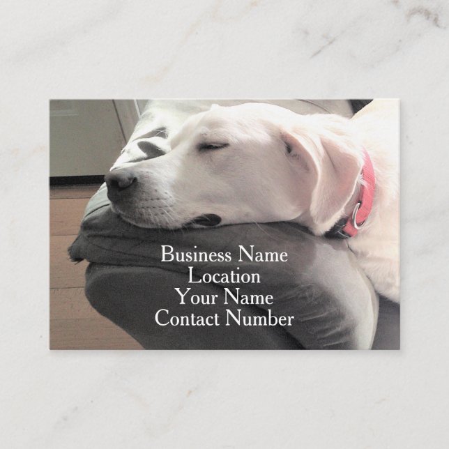 Foto på Cute Sleeping White Hund på soffan Visitkort (Framsida)