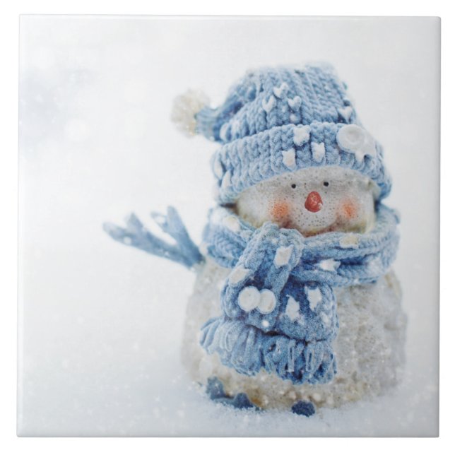 Foto på Cute Snögubbe på vintern - jul Kakelplatta (Framsidan)