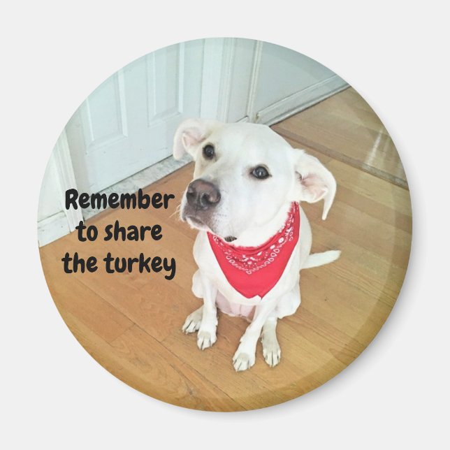 Foto på Cute Valp Hund med stift av Öron Magnet (Framsidan)