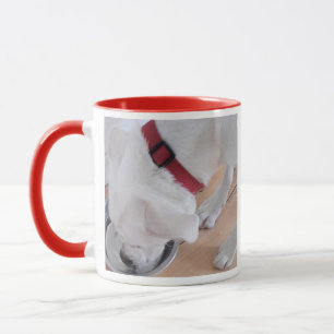 Foto på Cute White Hund Drinking Vatten Red Mugg
