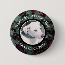 Foto på Cute White Hund Grönt Shamrocks Klöver
