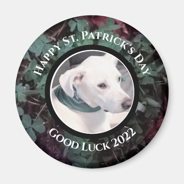 Foto på Cute White Hund Grönt Shamrocks Klöver Magnet (Framsidan)