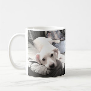 Foto på Cute White Hund Hanging out med Pappa Kaf Kaffemugg