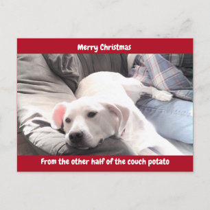 Foto på Cute White Hund med Pappa Red Helg Vykort