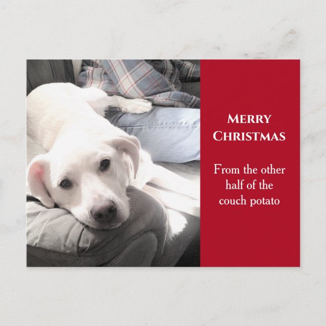 Foto på Cute White Hund med Pappa Red-jul Helg Vykort (Framsida)
