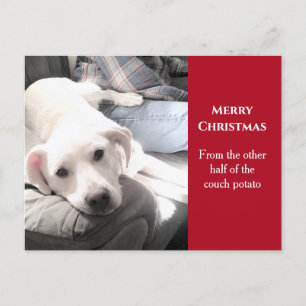 Foto på Cute White Hund med Pappa Red-jul Helg Vykort