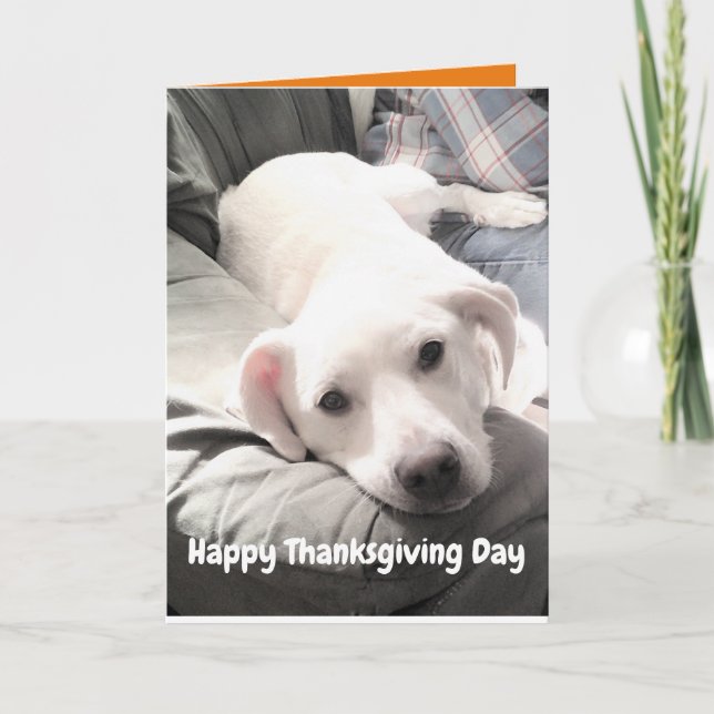 Foto på Cute White Hund med Pappa Thanksgiving Kort (Framsida)