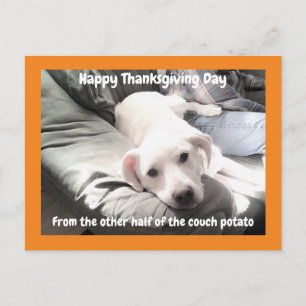 Foto på Cute White Hund med Pappa Thanksgiving Vykort