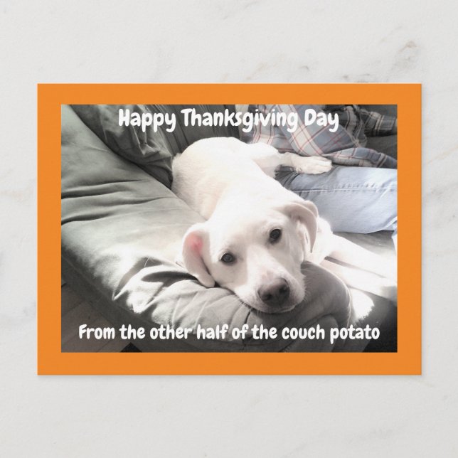 Foto på Cute White Hund med Pappa Thanksgiving Vykort (Framsida)