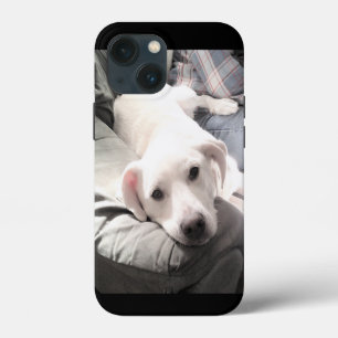Foto på Cute White Hund som svänger ut med Pappa
