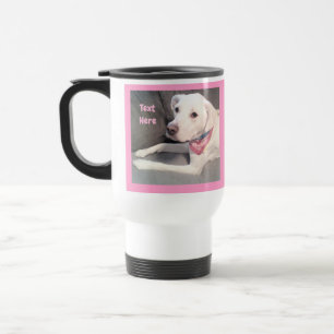 Foto på Cute White Labrador Blanda Hund med Scarf Resemugg