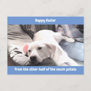 Foto på Cute White Lazy Hund med Pappa Blue Helg Vykort