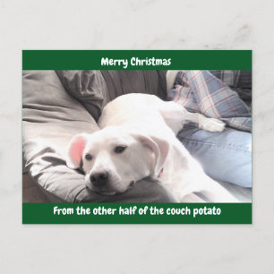 Foto på Cute White Lazy Hund med Pappa Grönt Helg Vykort