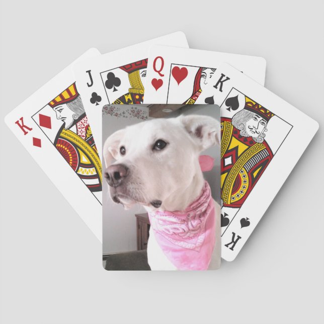 Foto på Cute White Puppy Hund med Rosa Scarf Casinokort (Baksidan)