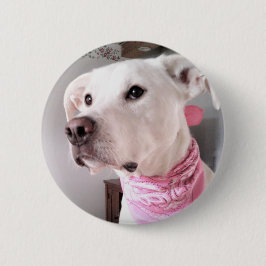 Foto på Cute White Puppy Hund med Rosa Scarf Knapp