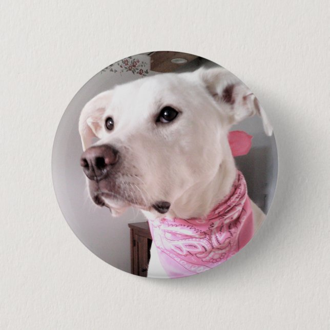 Foto på Cute White Puppy Hund med Rosa Scarf Knapp (Framsida)
