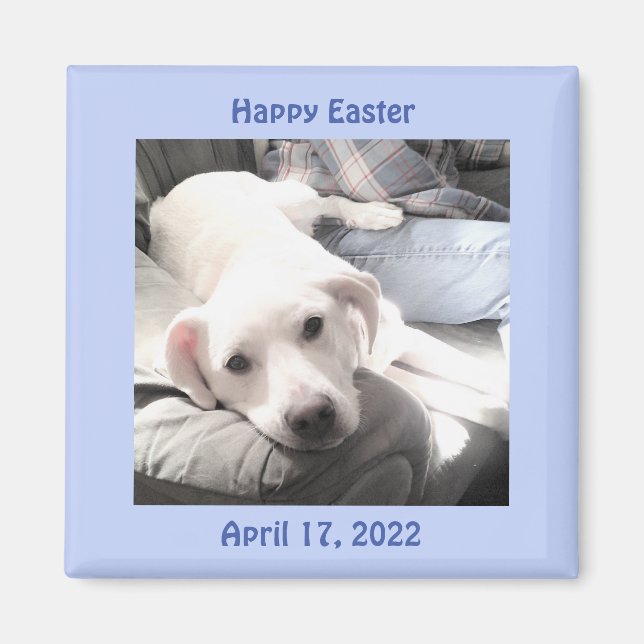 Foto på Cute White Puppy Hund Påsk Gift Blue Magnet (Framsidan)