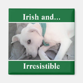 Foto på Cute White Puppy Hund St. Patrick's Day Magnet