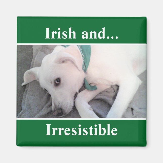 Foto på Cute White Puppy Hund St. Patrick's Day Magnet (Framsidan)