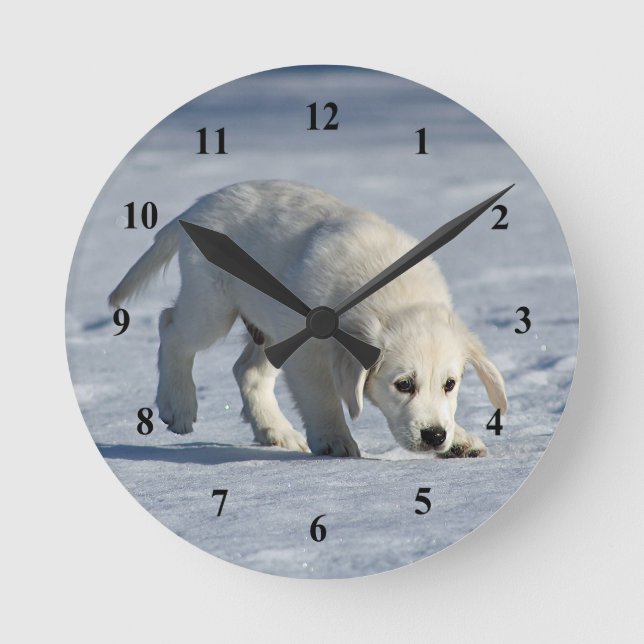 Foto på Cute White Puppy Snö Rund Klocka (Framsida)