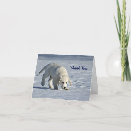 Foto på Cute White Puppy Snö Tack Kort