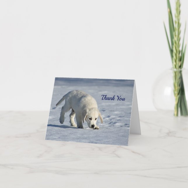 Foto på Cute White Puppy Snö Tack Kort (Framsida)