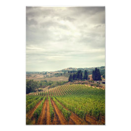 Foto på den toskanska vinodlingen med dyster himla