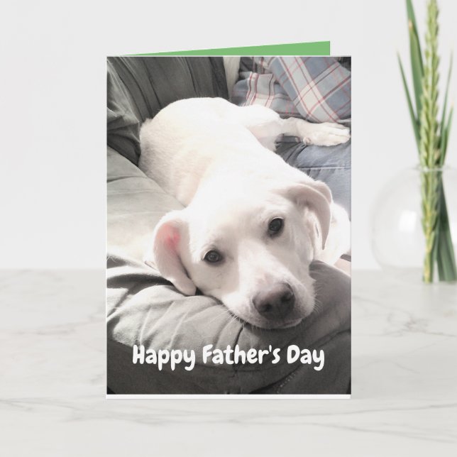 Foto på den vita hundvalpen Hund med Pappa funny Kort (Framsida)