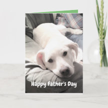 Foto på den vita hundvalpen Hund med Pappa funny