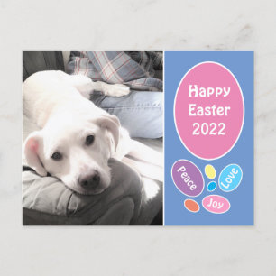 Foto på den vita valpen Hund med Påskäggen Pappa Helg Vykort