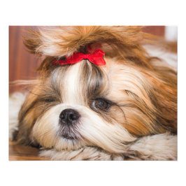 Foto på din anpassningsbar för marionettdockor för